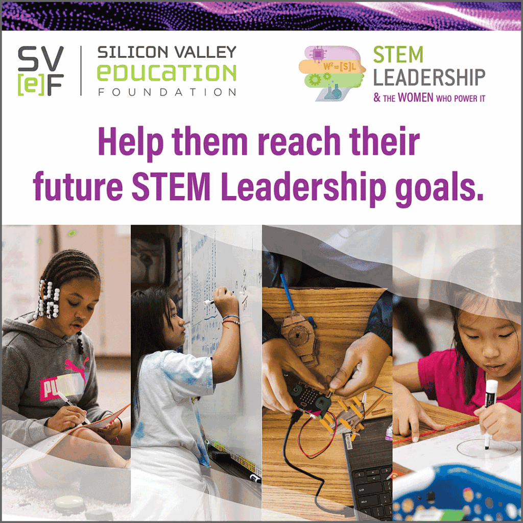 img WIS2024 STEM goals 1